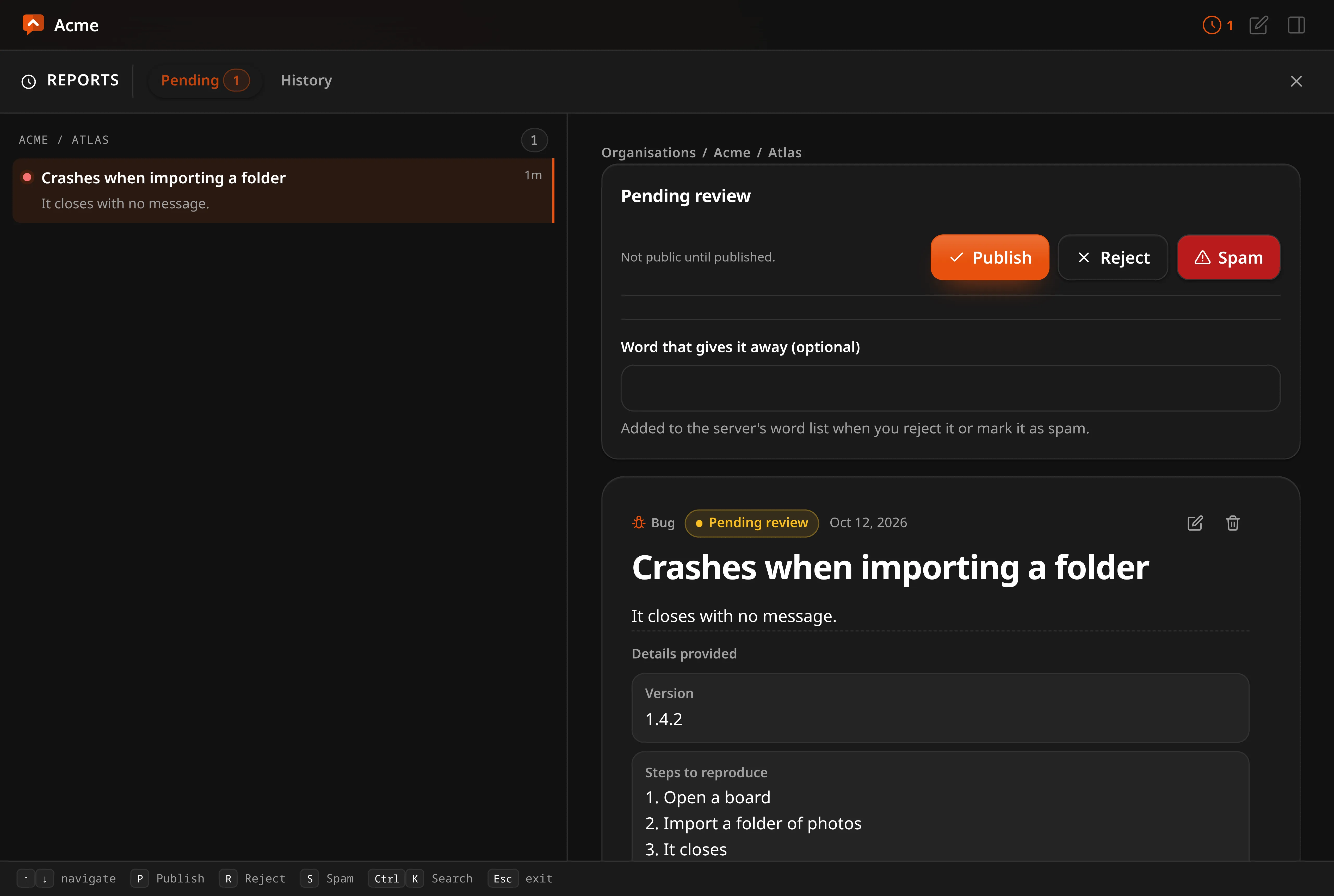 The reports screen: what is waiting in every repository, with the report open beside the list